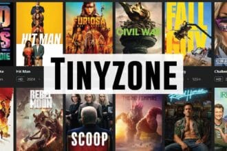 Is Tinyzone Legal and Safe?: Everything You Need to Know